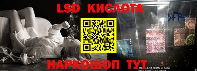 эйфоретик Новодвинск
