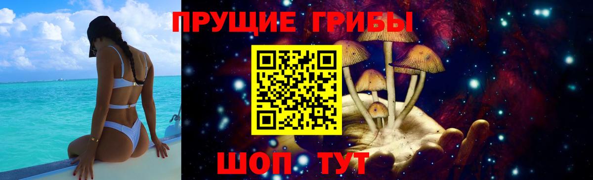 Псилоцибиновые грибы мухоморы Северск
